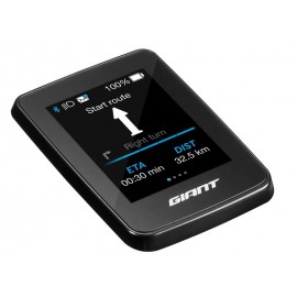 GIANT Display RideDash EVO