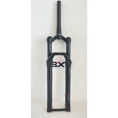 DT SWISS Forcella F232 ONE 29 120mm Boost - Nero DT Swiss F232OEHLPGAS26797S