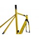 GIANT Telaio TCR Advanced SL Disc Legend Edition 2025 Giant 191300740