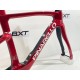 PINARELLO Dogma F Disc Kit Telaio Starry Red Pinarello FRDOGMAF25G117