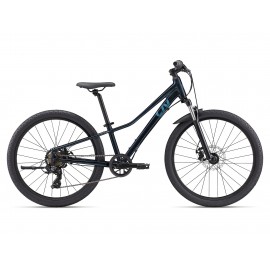 LIV Tempt 24 Disc Starry Night