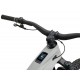 GIANT Reign Advanced E+ 2 Moon Dust Giant 546100210
