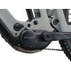 GIANT Reign Advanced E+ 2 Moon Dust Giant 546100210