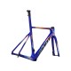 GIANT Kit Telaio Propel Advanced SL Victory Salute Edition Giant 190600610