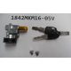 GIANT Blocco Batteria per Telaio Integrato Giant 1842MKM16-05V