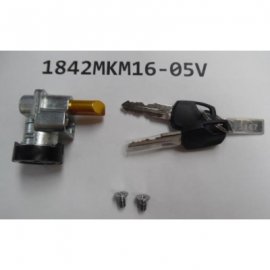 GIANT Blocco Batteria per Telaio Integrato Giant 1842MKM16-05V
