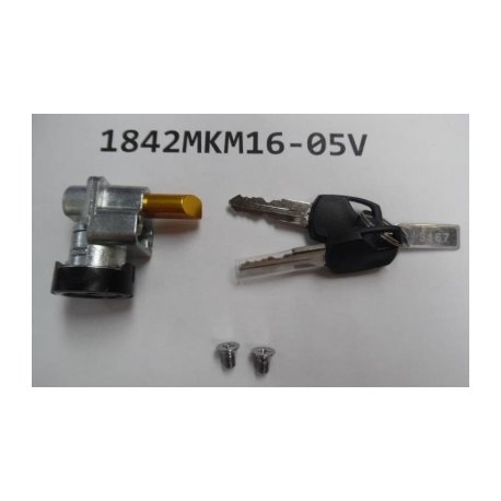 GIANT Blocco Batteria per Telaio Integrato Giant 1842MKM16-05V